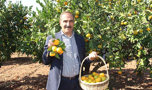 Narenciye kesimi KKTC’de görülen yeşillenme hastalığının Türkiye’ye sıçramaması için topyekûn gayret istiyor